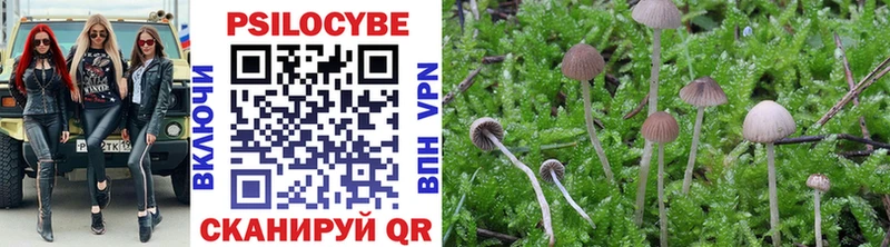 omg ONION  наркота  Дятьково  Галлюциногенные грибы MAGIC MUSHROOMS 
