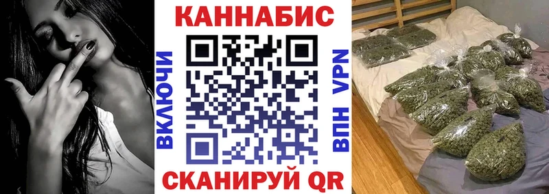 Каннабис OG Kush  Дятьково 